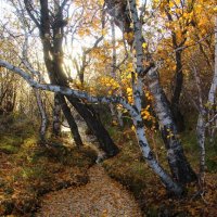 Родник :: Владимир Помазан Родник :: Владимир Помазан
