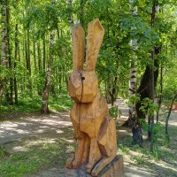 Заяц в липовой роще :: Валерий Судачок