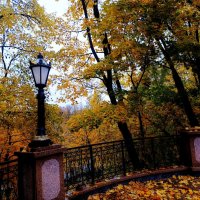 Прогулка по Осени. :: Vladimir Semenchukov