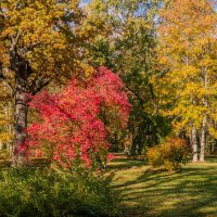 *** :: Геннадий Порохов