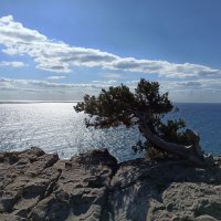 Мыс Плака. Крым. :: Галина Мыс Плака. Крым. :: Галина