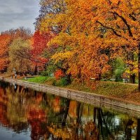 Красавица осень :: Наталья Лакомова