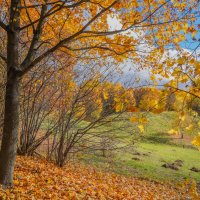 Октябрь в Царицыно... :: Владимир Жданов