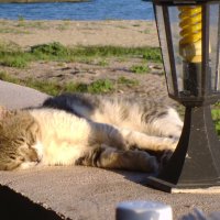 В отпуске :: Serega SchütZ