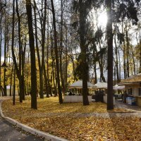 Усадьба. Осень. :: tatiana Усадьба. Осень. :: tatiana