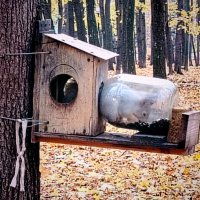 Белочка в банке :: Надежда 