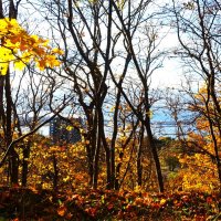 Вдоль обрыва..по самому краю.. :: Aida10 