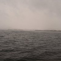 На озере :: redfox 