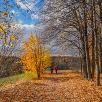 Октябрь в Царицыно... :: Владимир Жданов Октябрь в Царицыно... :: Владимир Жданов