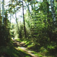 Майские прогулки :: Сергей Царёв