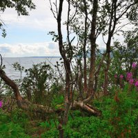 *** :: Александр Хаецкий