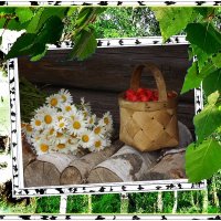 Ягодное лето! :: Нина Андронова