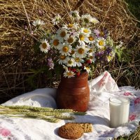 Летний полдень! :: Нина Андронова