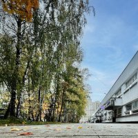 Осень в городе. :: Алексей Пышненко