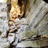 МАЦЕСТА. ГРОД :: Tata Wolf