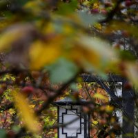 Фонарь среди ягод :: Мария Яковлева Фонарь среди ягод :: Мария Яковлева