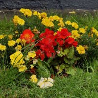 Осенние цветы - прощальный всполох лета. :: Татьяна Помогалова Осенние цветы - прощальный всполох лета. :: Татьяна Помогалова