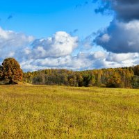 Золотая осень Смоленщины. :: Милешкин Владимир Алексеевич Золотая осень Смоленщины. :: Милешкин Владимир Алексеевич