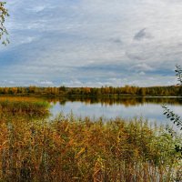 Золотая осень Смоленщины :: Милешкин Владимир Алексеевич 