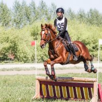 Кросс :: SanSan 