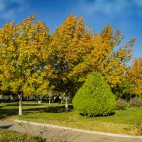 Осень :: Анатолий Чикчирный