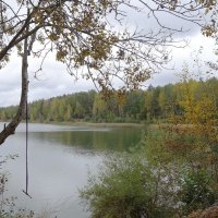 Лесное озеро :: Рита Симонова Лесное озеро :: Рита Симонова
