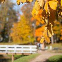 *** :: Геннадий Порохов *** :: Геннадий Порохов