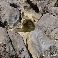 Природа Крыма :: Amazing Cosmea Природа Крыма :: Amazing Cosmea