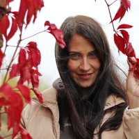 Осень :: Сергей 