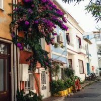 Улочки :: Лилия . Улочки :: Лилия .