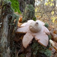 Неожиданная встреча :: Татьяна Венцель