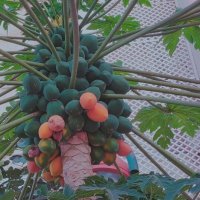 13  ОПЕН (540) :: CLOSE WAYS ALL