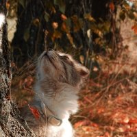 Вот и осень :: Татьяна Венцель Вот и осень :: Татьяна Венцель