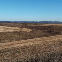 Прекрасный день!!! :: Радмир Арсеньев