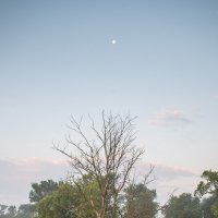 Утро :: Владимир Иванович Утро :: Владимир Иванович