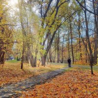 В парке :: Наталья Лакомова