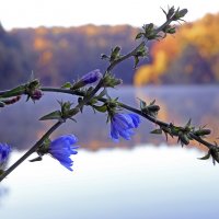 Царицыно 30 сентября :: Михаил Бибичков