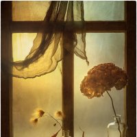 *** :: Oleg Rastorguev