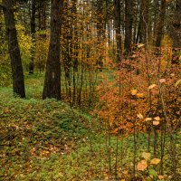 Яркий октябрь :: София 