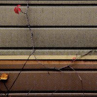 *** :: Сергей Премонишын