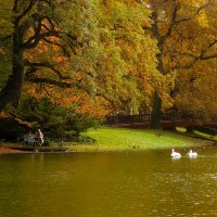 В парке осень :: Юрий. Шмаков
