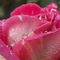 *** :: Валерий Ткаченко