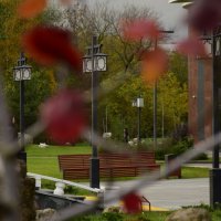 Краски осени :: Мария Яковлева