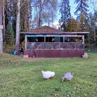 Жили у бабуси... :: Лия ☼