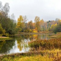 Золотая осень продолжается. :: Милешкин Владимир Алексеевич Золотая осень продолжается. :: Милешкин Владимир Алексеевич
