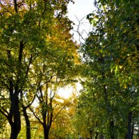 парк «Ла Извор» :: Nina Streapan