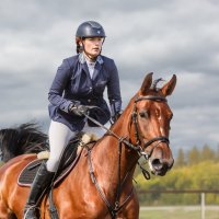 Конкур :: SanSan 