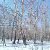 Зимний день :: Андрей Хлопонин Зимний день :: Андрей Хлопонин