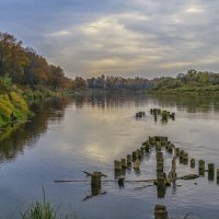 Клязьма осенняя :: Сергей Цветков Клязьма осенняя :: Сергей Цветков