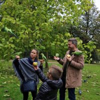 Птички в парках Лондона :: Ольга 